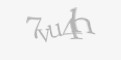 Захисний код
